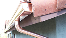 wildlife-proofing-gutters-bird-squirrel-rodent-guards Experts in Wilmington
